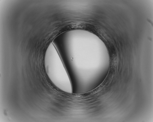 X0000096960513200802080903