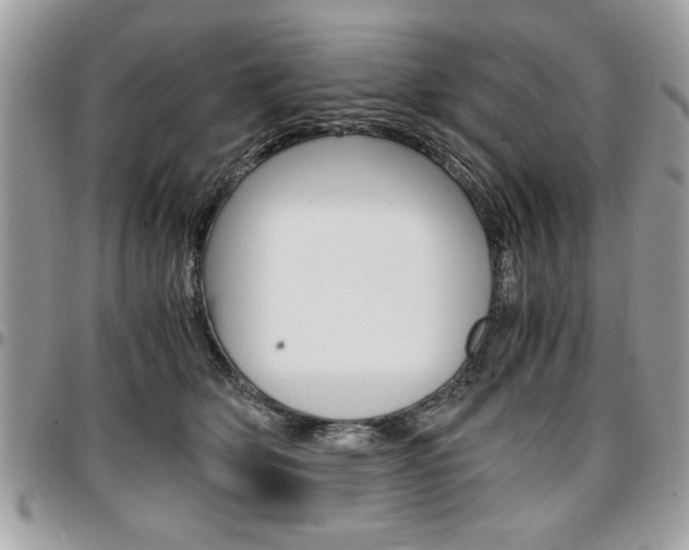 X0000096960514200802080903