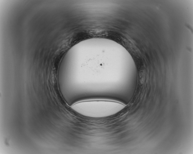 X0000096960515200802080903