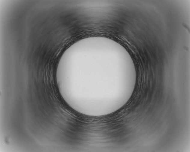 X0000096960516200802080903