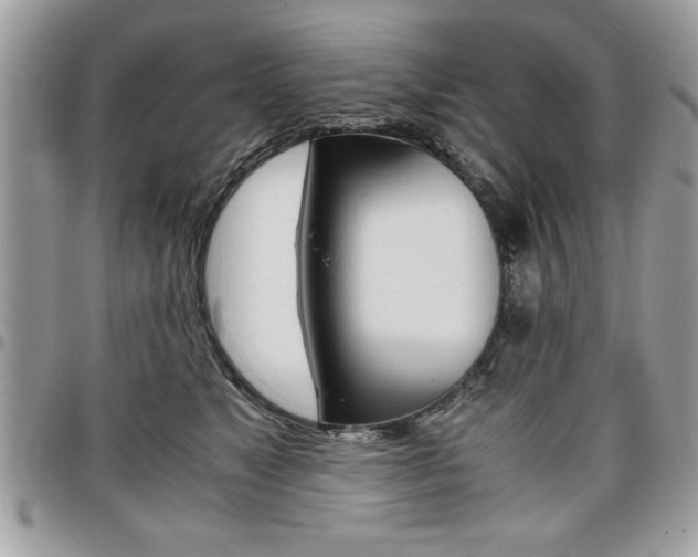 X0000096960517200802080903