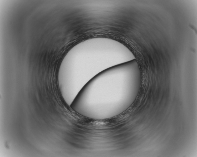 X0000096960518200802080903