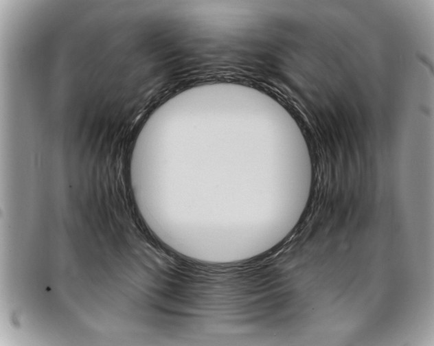 X0000096960520200802080903