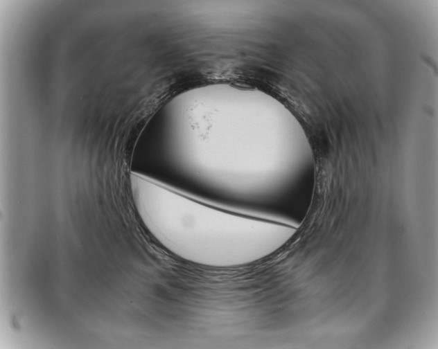 X0000096960521200802080903