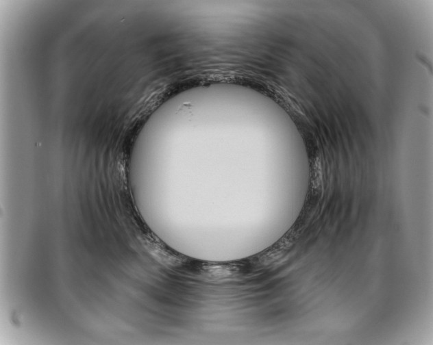 X0000096960522200802080903