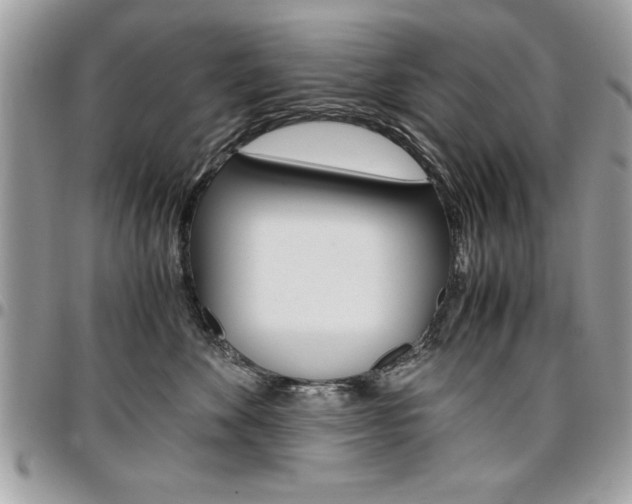 X0000096960524200802080903