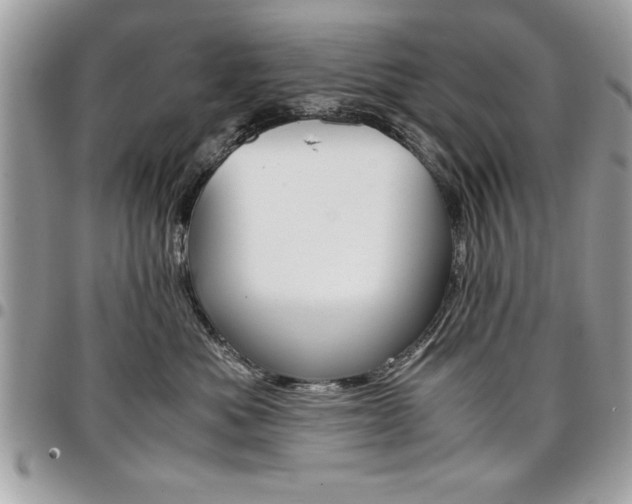 X0000096960525200802080903