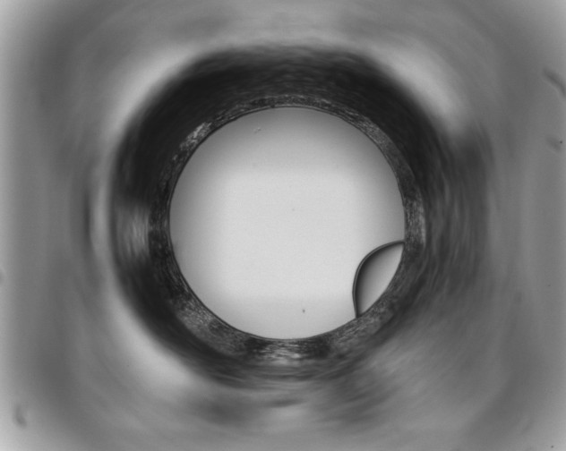 X0000096960526200802080903