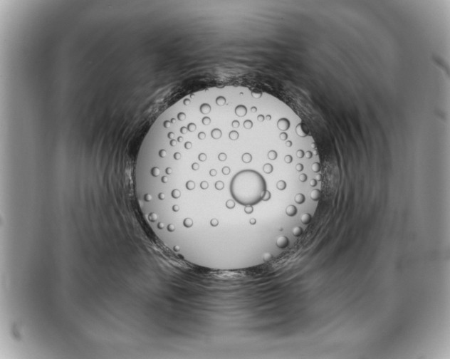 X0000096960527200802080902