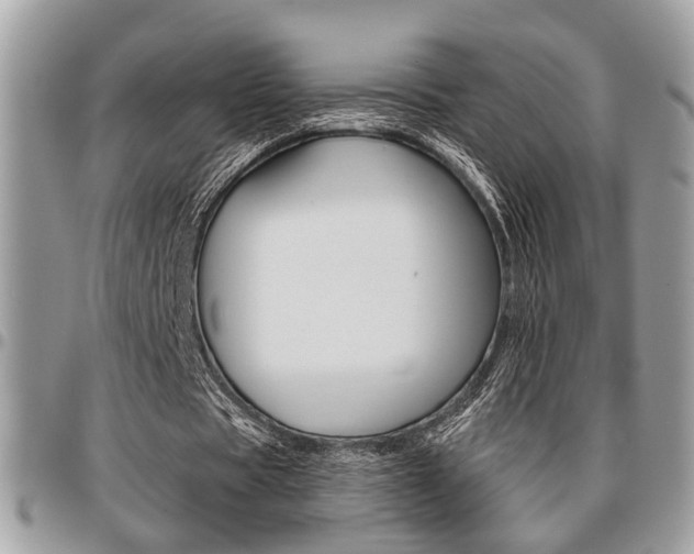 X0000096960529200802080902