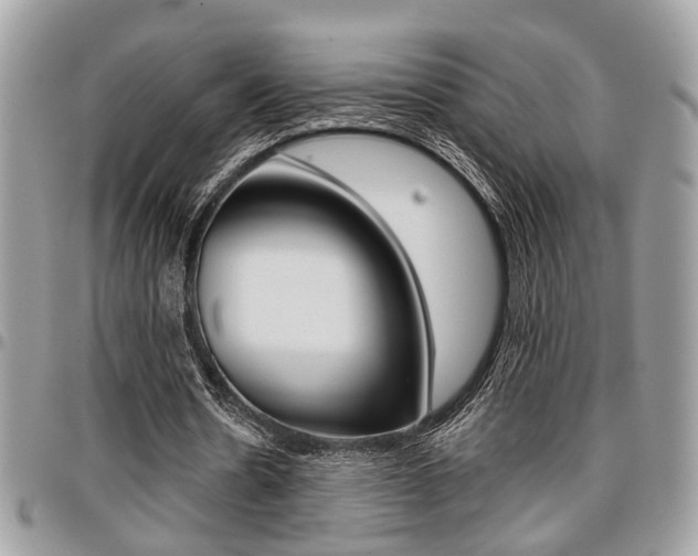 X0000096960530200802080902