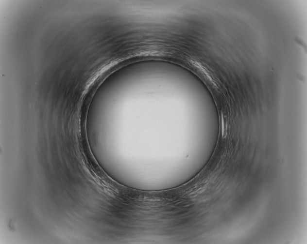 X0000096960531200802080902