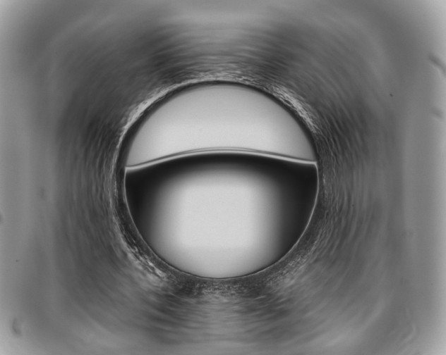X0000096960532200802080902