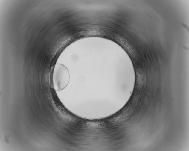 X0000096960534200802080902