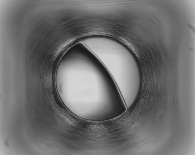 X0000096960535200802080902