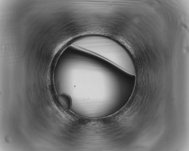 X0000096960536200802080902