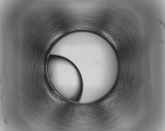X0000096960538200802080902