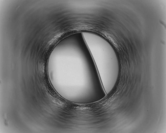 X0000096960539200802080902