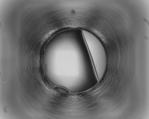 X0000096960540200802080902