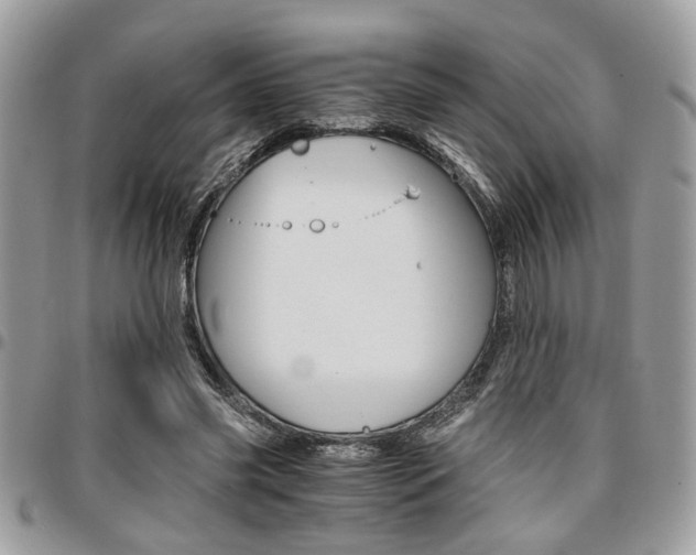 X0000096960541200802080902