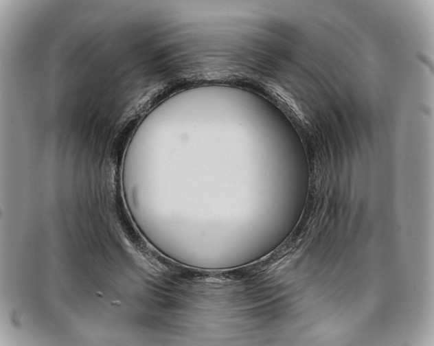 X0000096960542200802080902