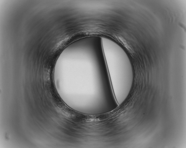 X0000096960543200802080902