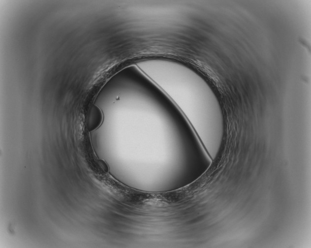 X0000096960544200802080902