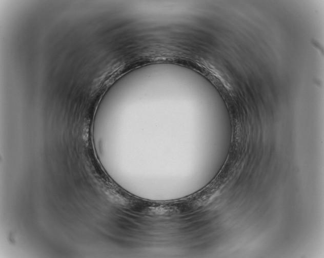 X0000096960545200802080902