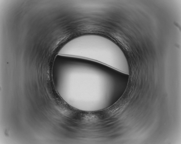 X0000096960547200802080902