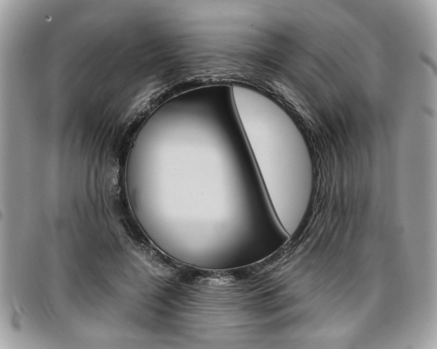 X0000096960548200802080902