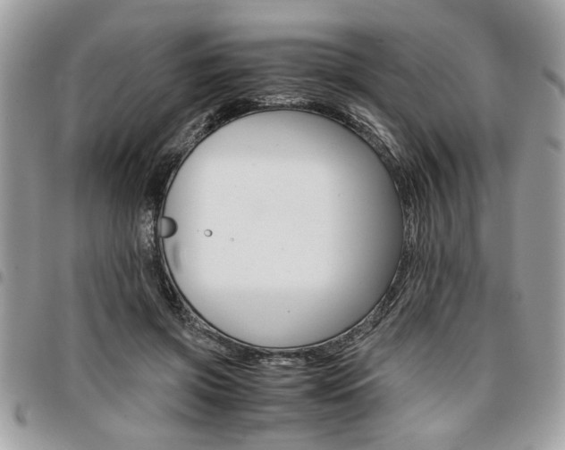X0000096960549200802080902
