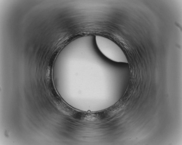 X0000096960550200802080902