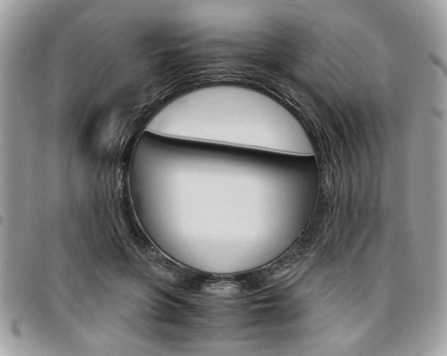 X0000096960551200802080902