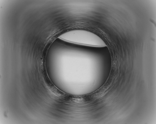 X0000096960552200802080902
