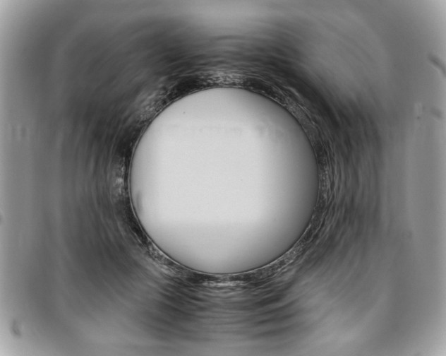 X0000096960553200802080902