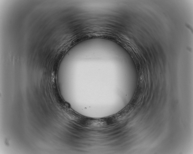 X0000096960555200802080902