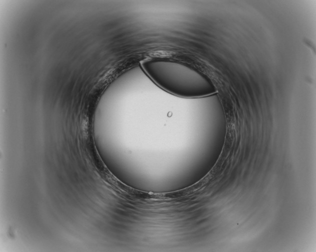 X0000096960556200802080902