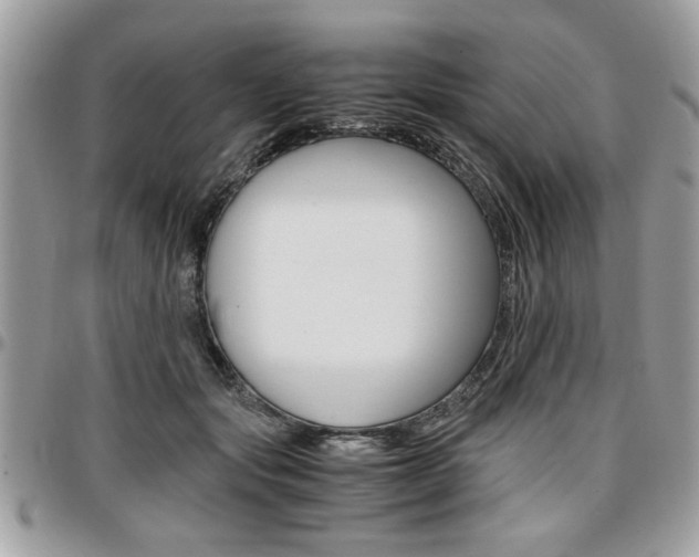 X0000096960557200802080902