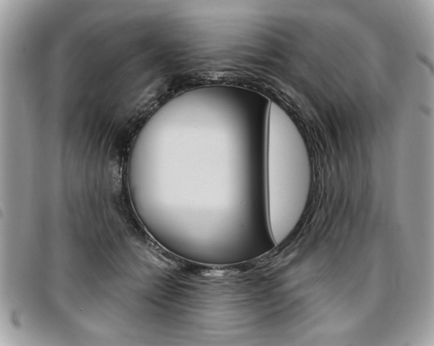 X0000096960558200802080902