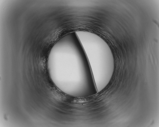 X0000096960559200802080902