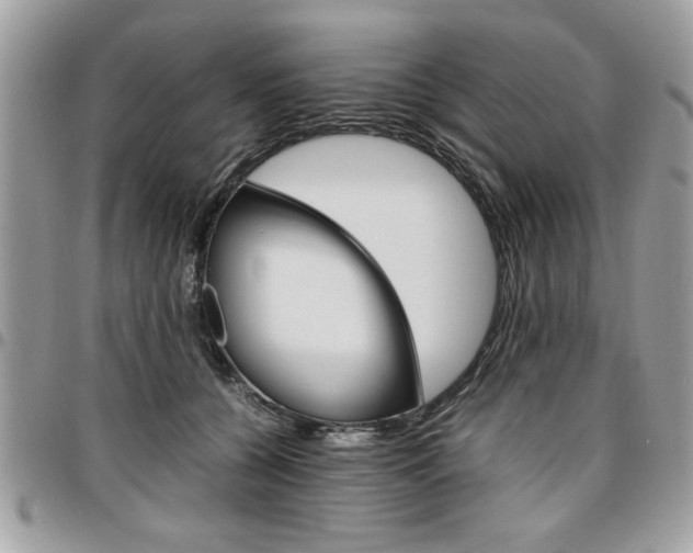 X0000096960560200802080902