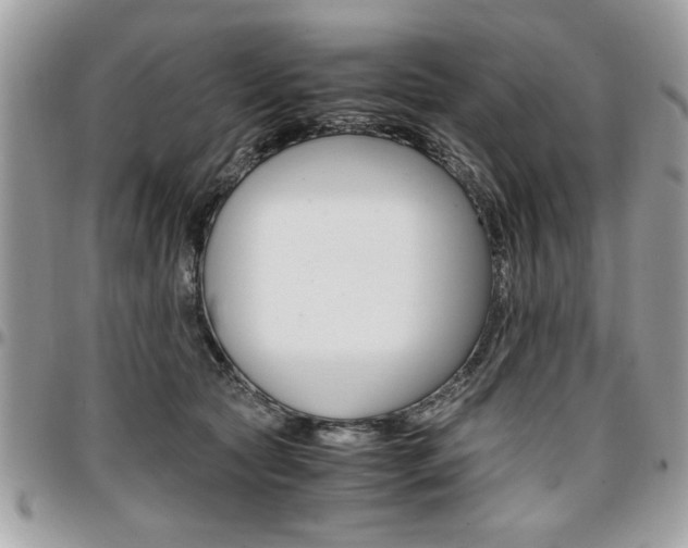 X0000096960561200802080902