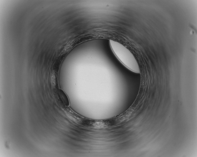 X0000096960562200802080902