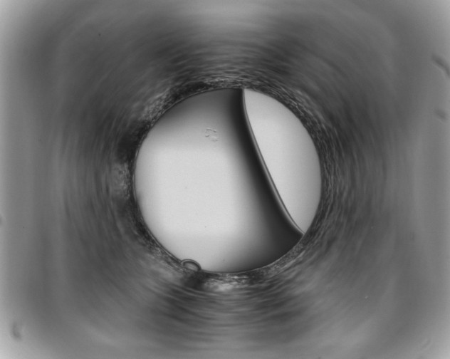 X0000096960563200802080902