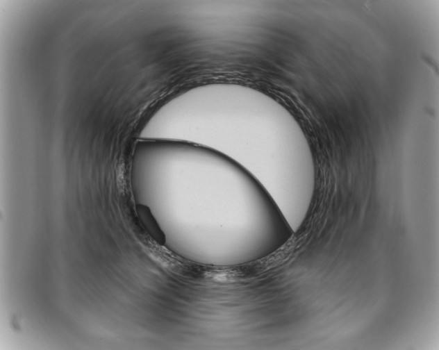 X0000096960564200802080902