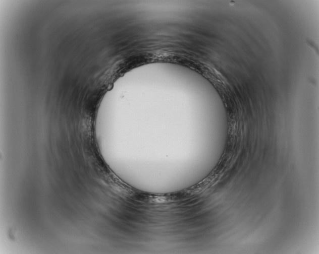 X0000096960565200802080902