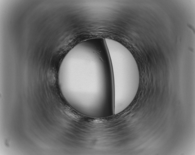 X0000096960566200802080902