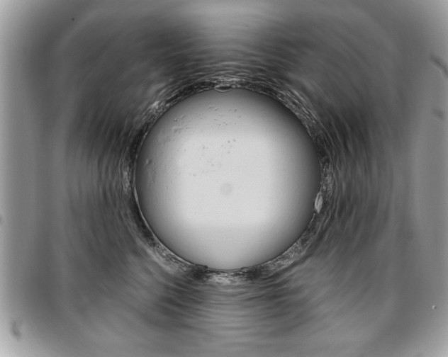 X0000096960568200802080902