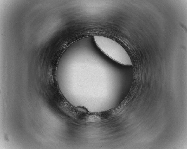 X0000096960572200802080902