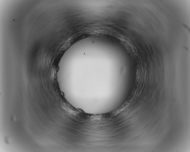 X0000096960574200802080902